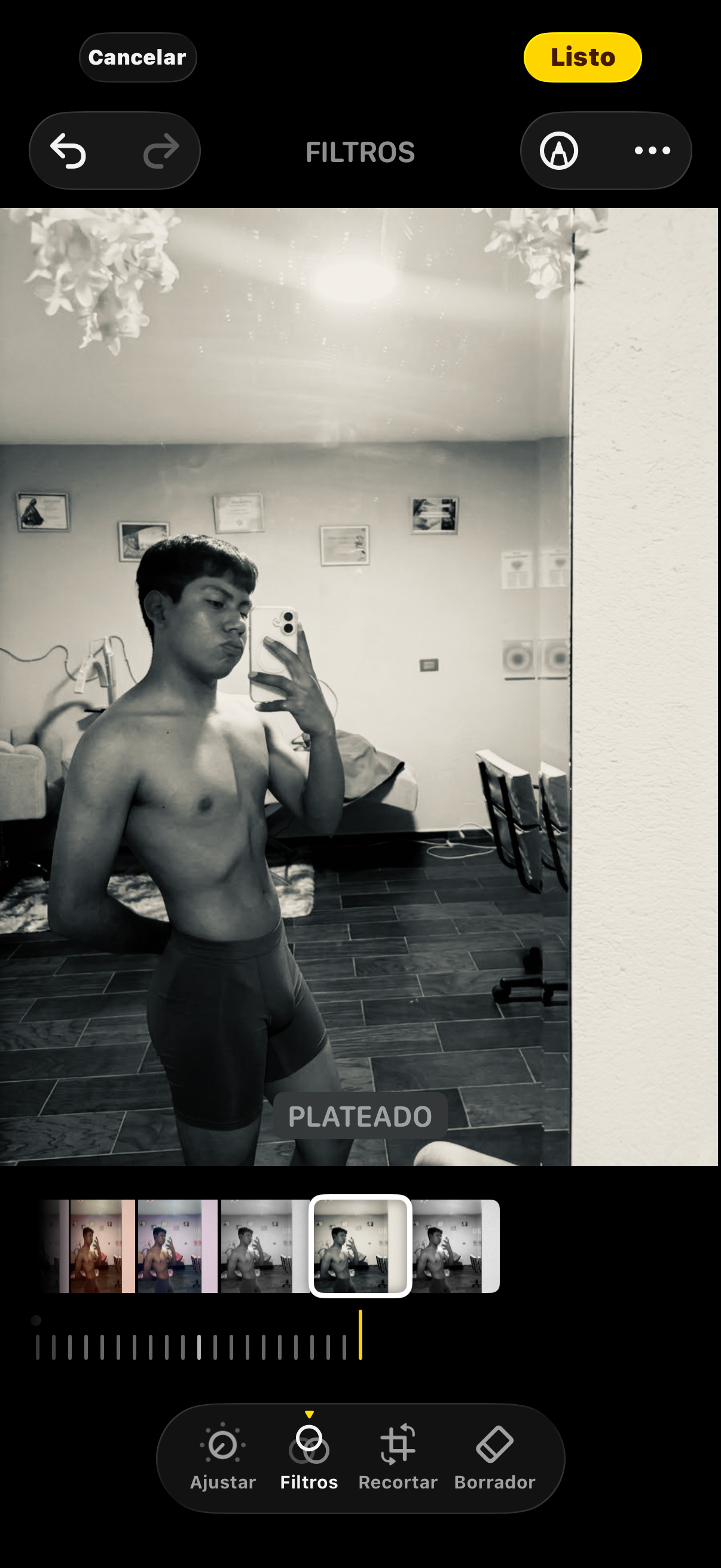 Usuario